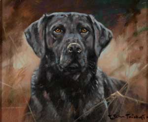 Artist: John Trickett; Painting: Labrador head