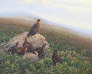 Artist: Neil Cox; Painting: Red Grouse on the moor