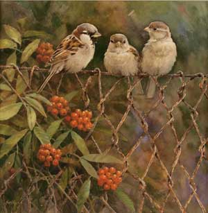 Artist: Neil Cox; Painting: Tittle tattle - House sparrows.