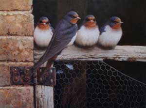 Artist: Neil Cox; Painting: The Old Stables - Swallows