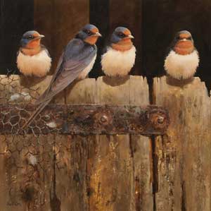 Artist: Neil Cox; Painting: Swallows