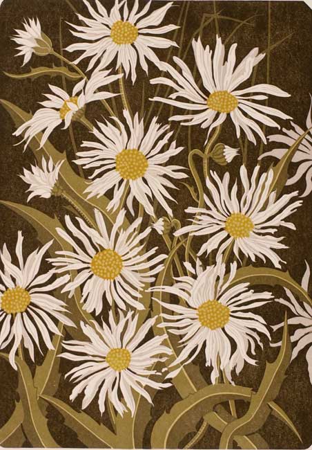 Margaret Green, Marguerite Daisies