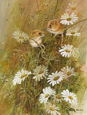Artist: Neil Cox; Painting: Harvest Mice