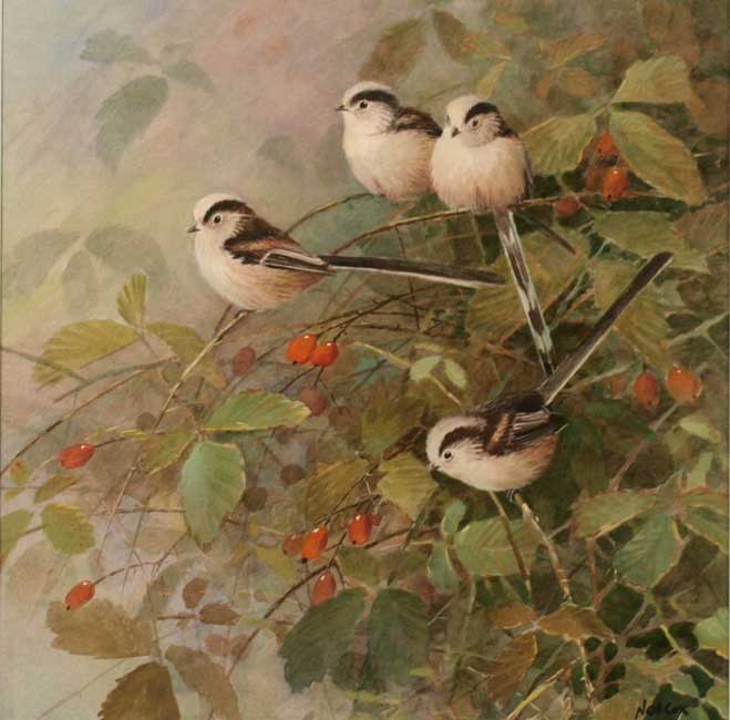 Neil Cox, Long Tailed Tits